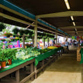 Exploring the Vibrant Community of Associations in Fairfax County, Virginia